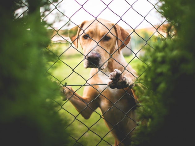 Ага, снова эти картинки и гифки