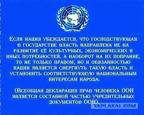 КиберБеркут: США готовят цветную революцию в РФ по примеру Украины