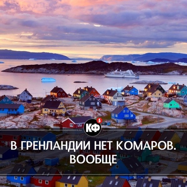 Краткие факты