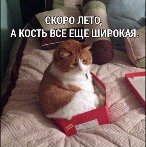 Подборка безудержного веселья