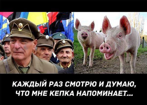 Нет фашисткой гадине