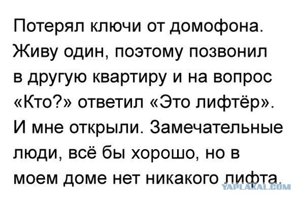 Забавные комментарии, шутки и фразы из этих ваших интернетов