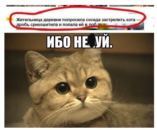 Картинки всякие для поднятия настроения!