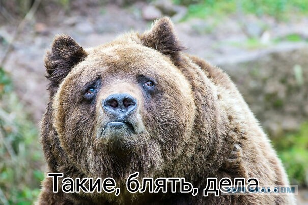 "Повернись напоследок к пацанам": в кемеровском клубе девушка разделась ради шампанского