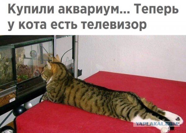На 8-е марта я поссорилась с мужем