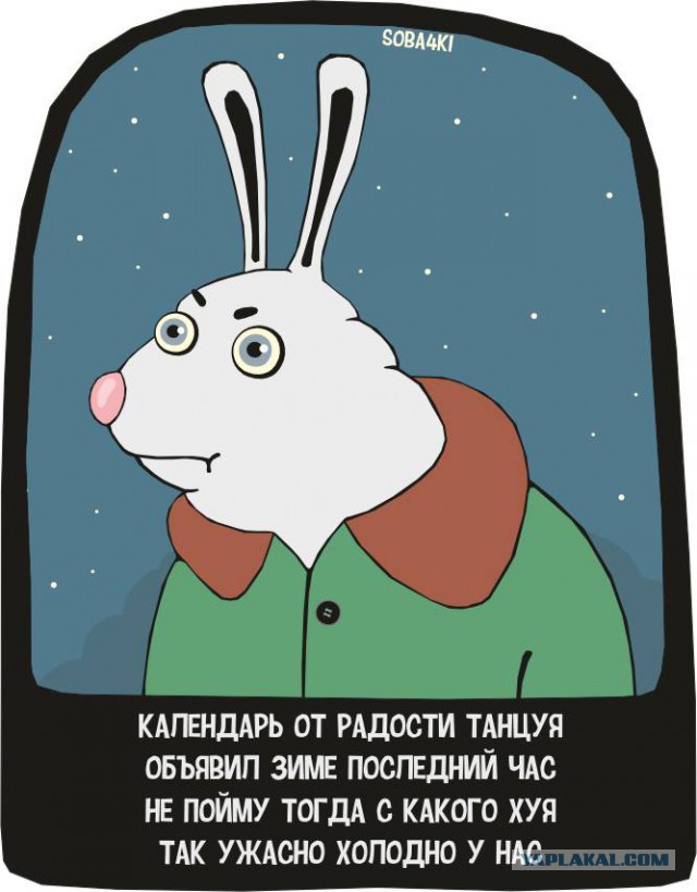 Итоги проверки пользователей
