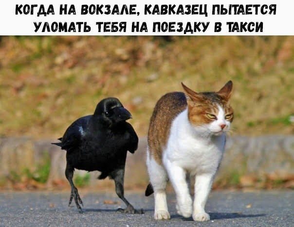 Немного картинок в эту среду