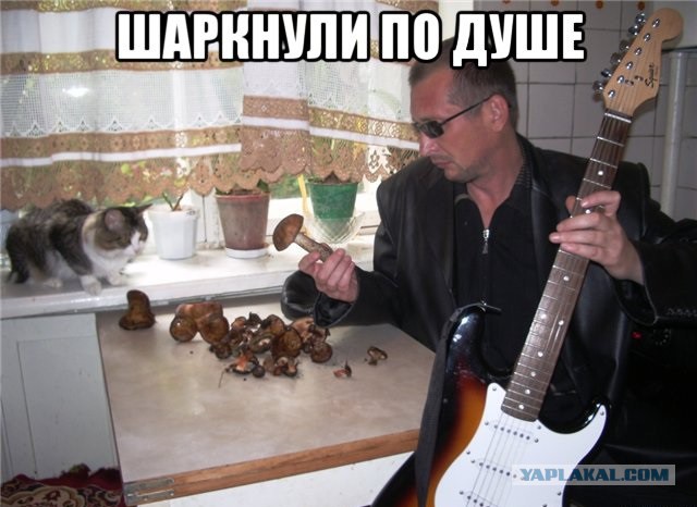 Друзья! я вернулся что бы принять вызов на музыкальную дуэль!