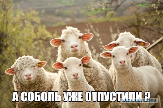 Пару слов о московских выборах и стокгольмском синдроме