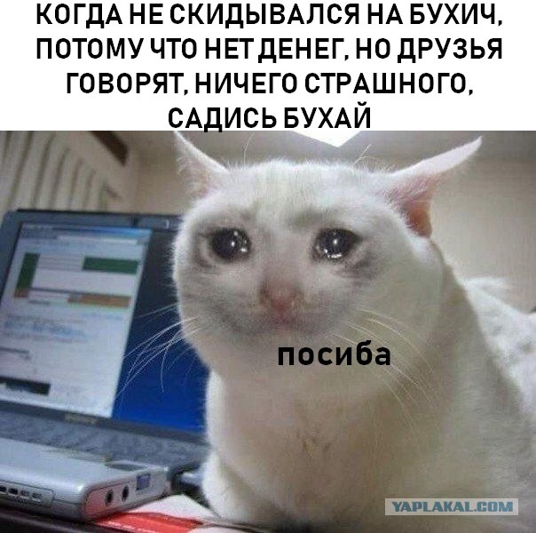 Чуток картинок (финал)