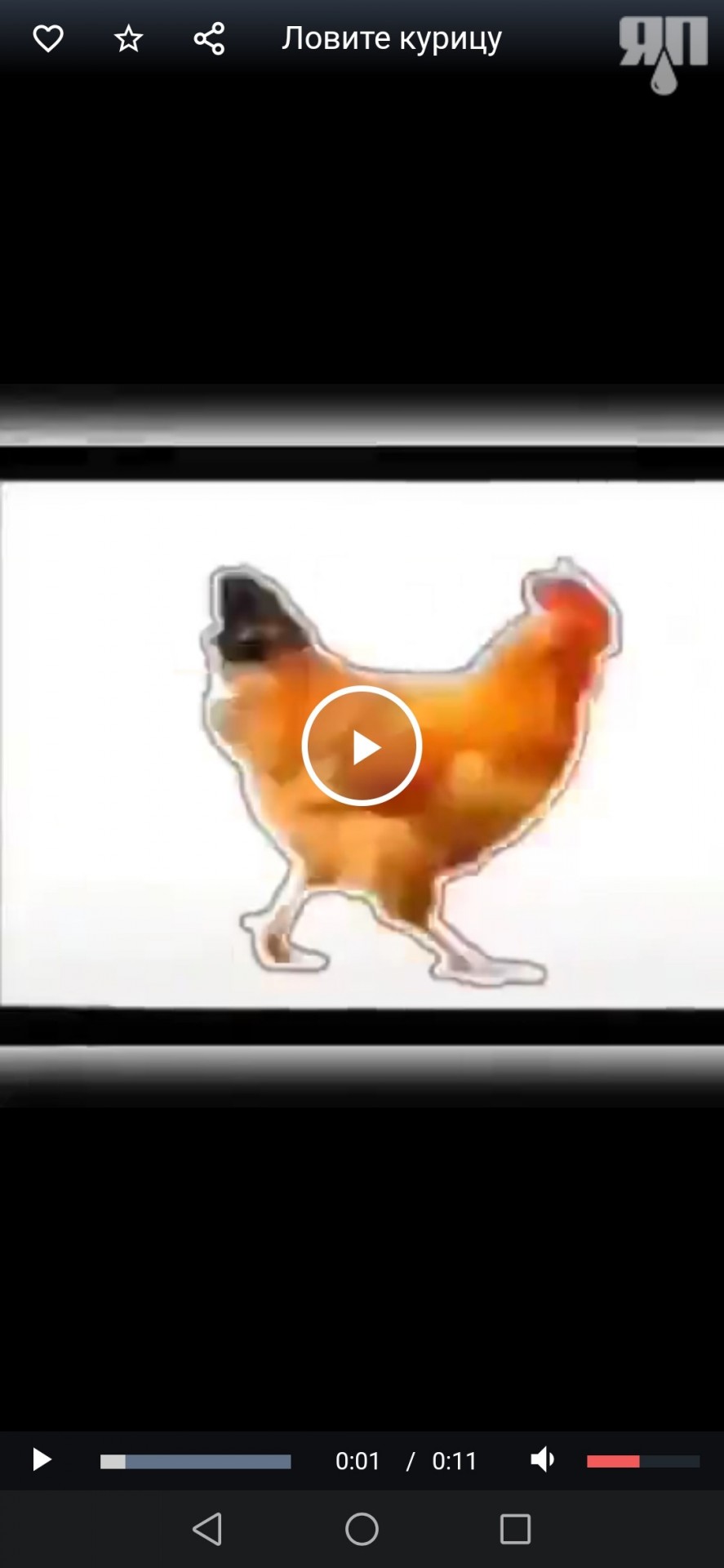 Как поймать курицу