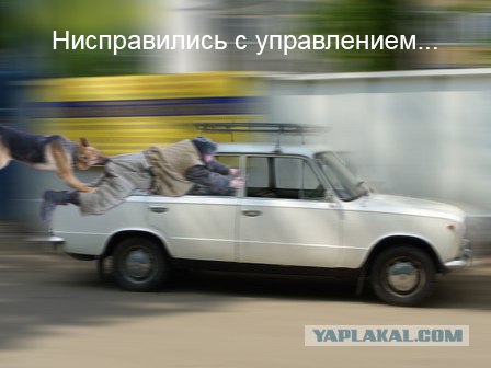Фотожаба: Охотник и его верный пес