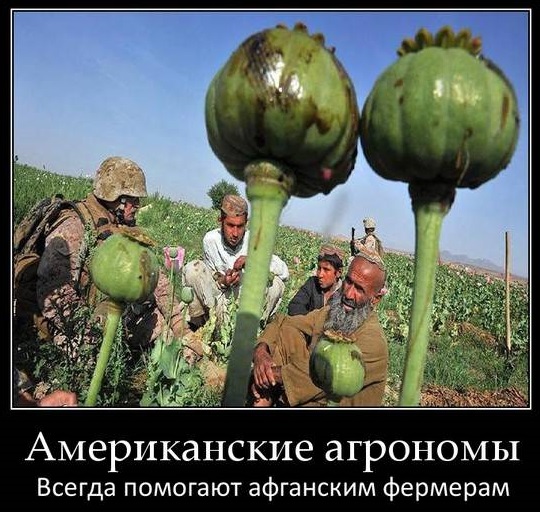 Афганский народ очень любит американские армейские патрули