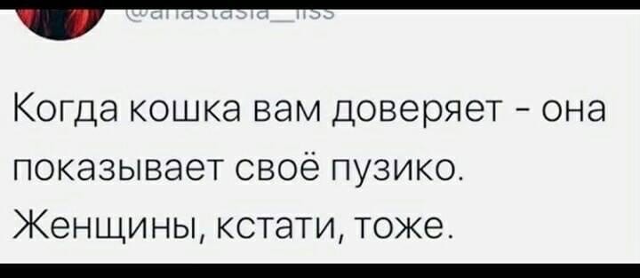 15166414.jpg