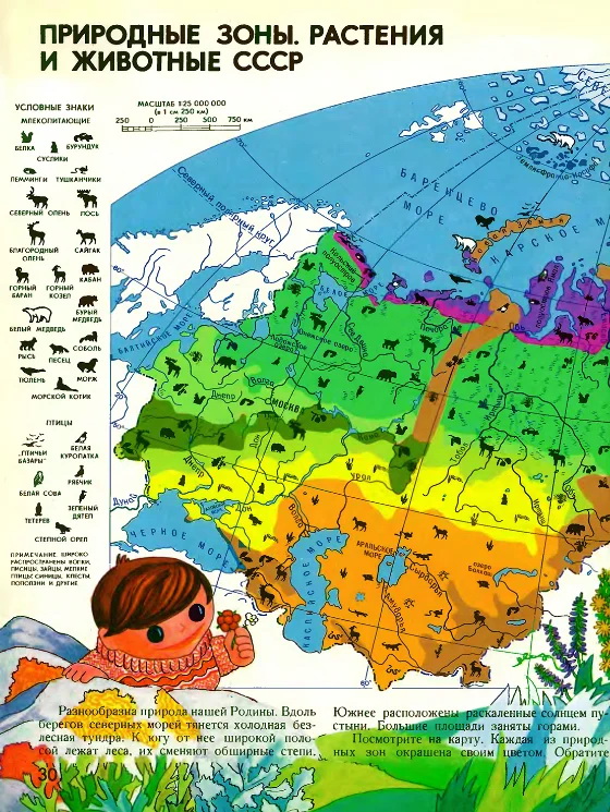 О знаменитом географическом атласе для детей "Мир и человек"