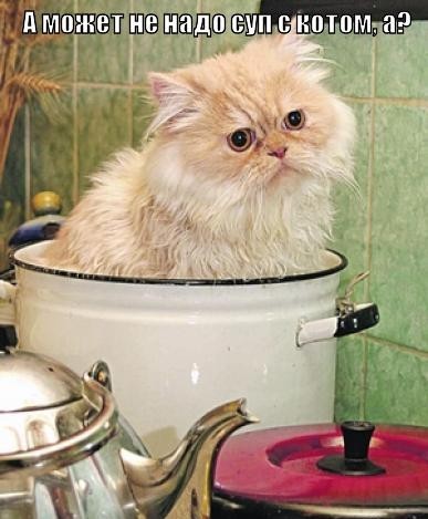 Не котожидкость
