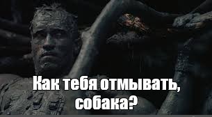 Заведи собаку, говорили они... это будет весело, говорили они