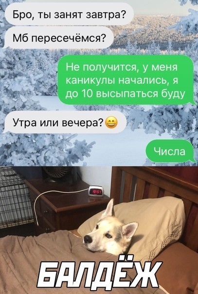 Мне не поверили?!