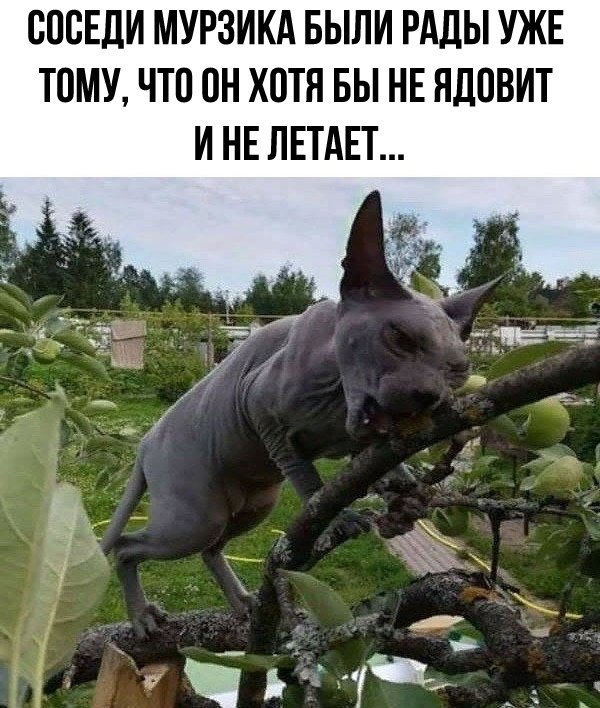Воскресенье. Вечер. Картинки для зарядки позитива на понедельник