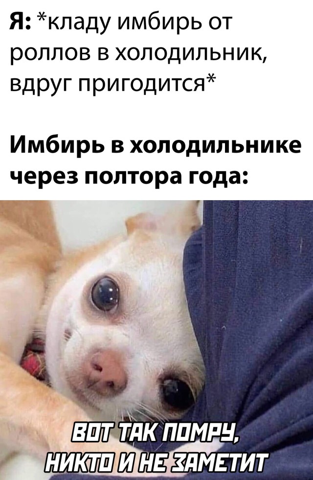 Картинки с надписями и всякие жизненные фразы