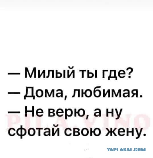 50 оттенков серого или самосвал баянов. Vol. 18. 50 штук.