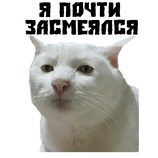 Жизнь Бориса