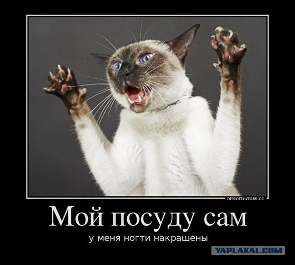Кормите своих мужей! и все будет хорошо)))