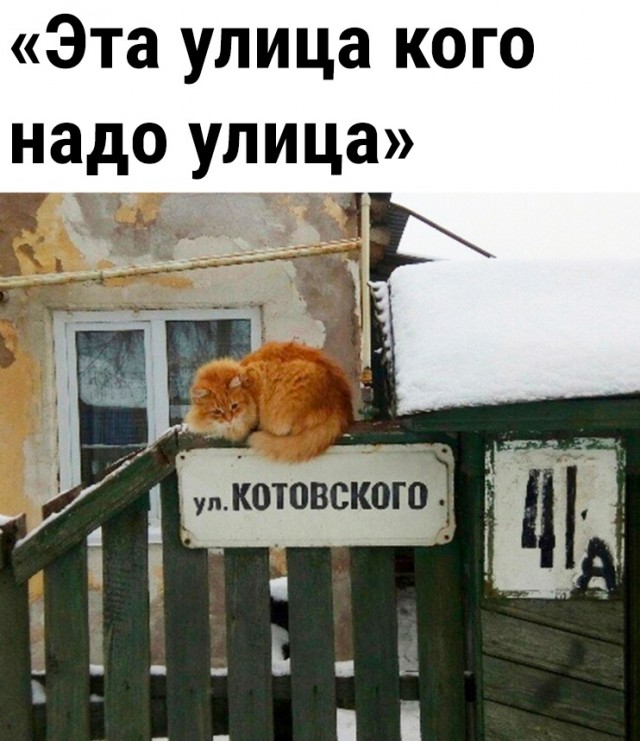 Да что эта нога себе позволяет!