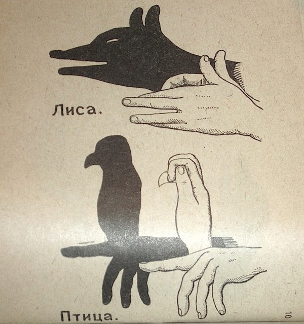 Что подстерегает тебя в лесу