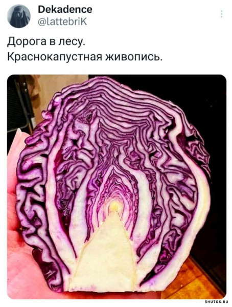 Немного забавных картинок от 23.10.2024
