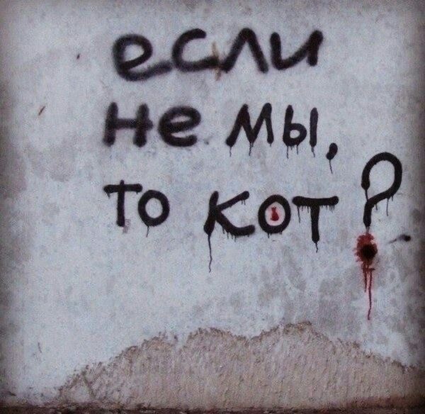 Прикольные и просто красивые картинки 10.01.2025