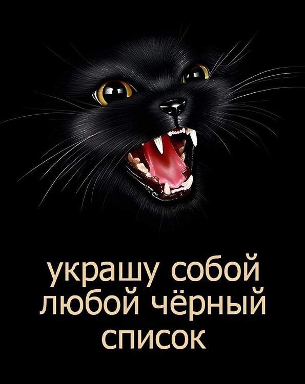 К котовторнику: подборка картинок-баянов с котиками и про котиков. Выпуск 2.