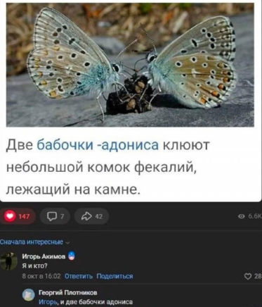 Маленькая пятница 19.03.25