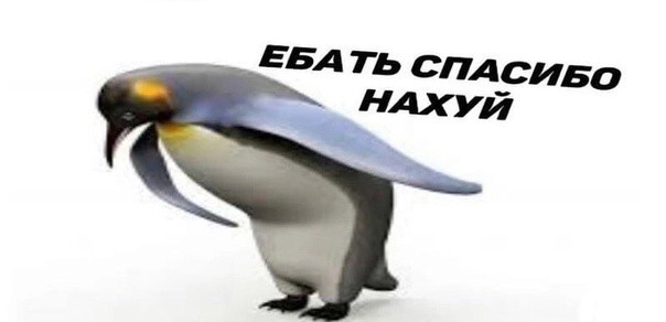Землетрясение на мировом фондовом рынке: ведущие индексы многих стран рухнули на 5–12% всего за 24 часа.