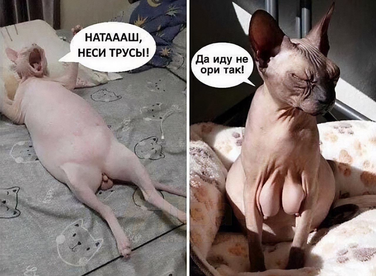 без трусов на даче 