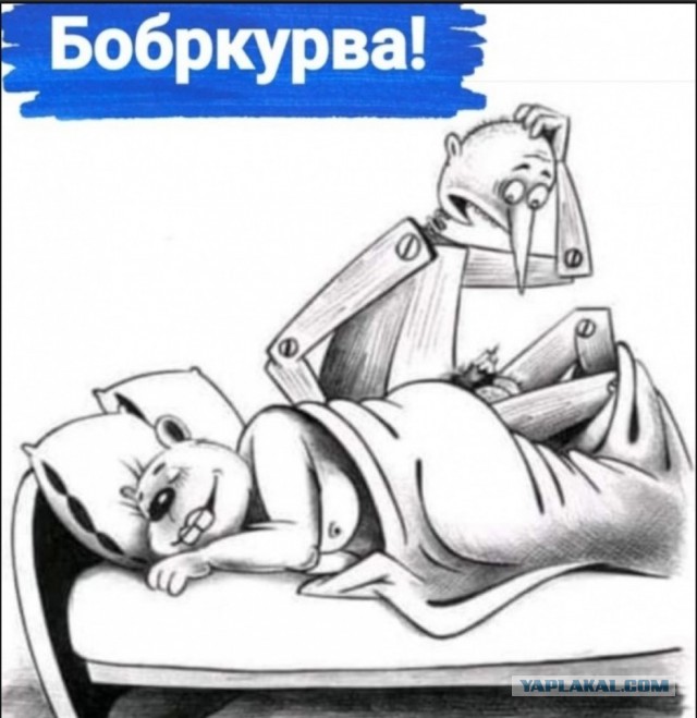 Иллюстрации