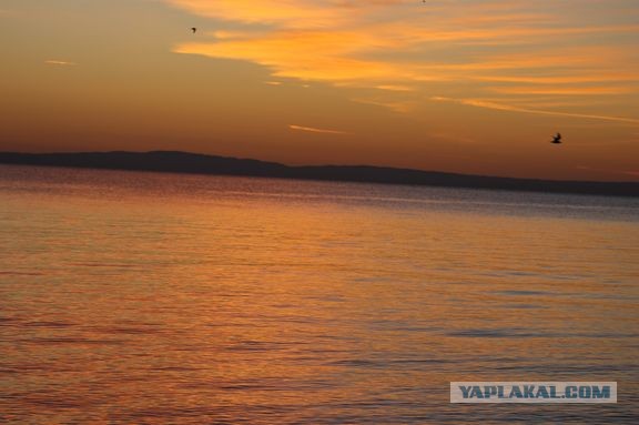 Алаколь. Всё включено отдыхать хорошо, а дикарями лучше