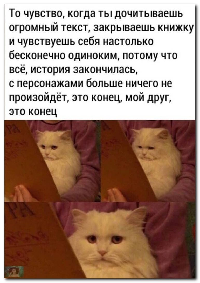 Это конец, мой друг⁠⁠