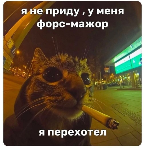 Папа, а что такое цивилизация?