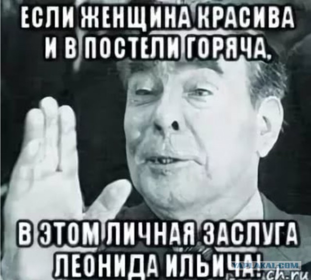Дорогой Леонид Ильич!
