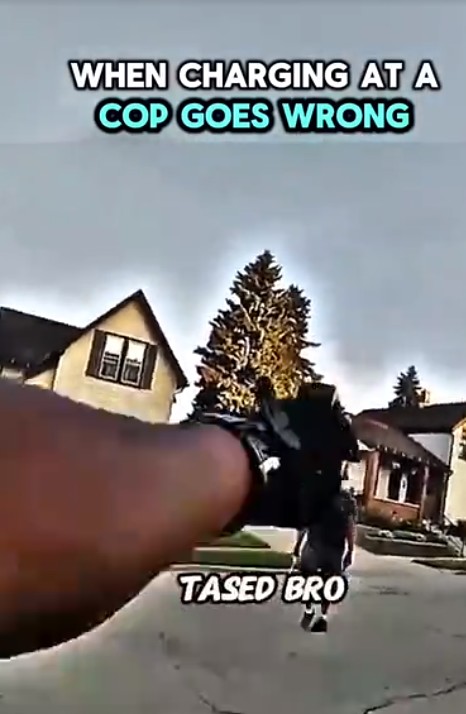 Шустрый коп