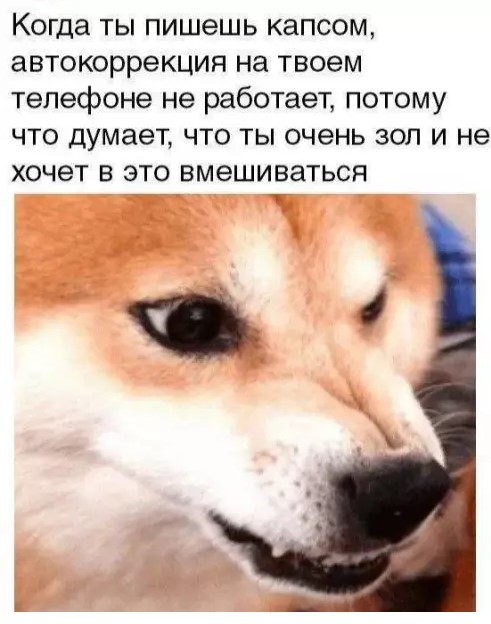 Картиночки, баянчики 27 марта