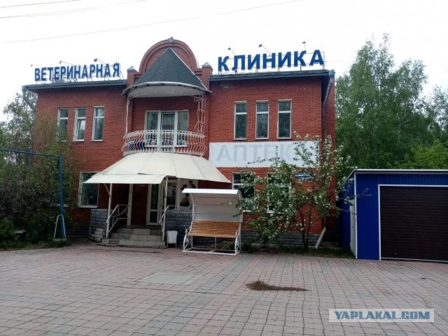 Объявления «Сдам квартиру только славянам» можно же, да?