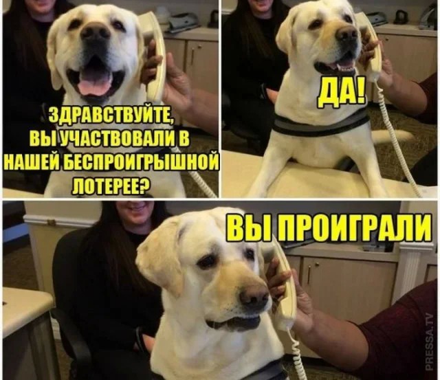Средятница