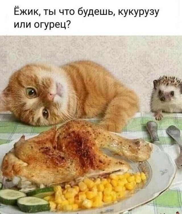 Так себе картинки 13.06.26