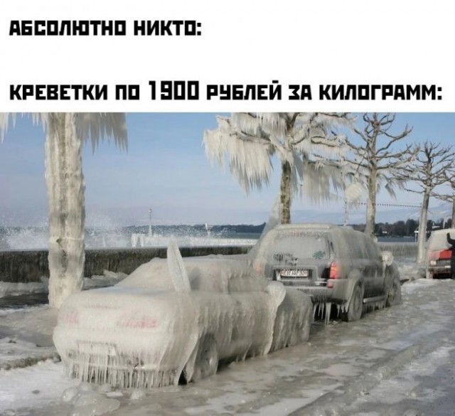 Веселые картинки в маленькую пятницу (29.07)
