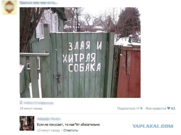 Смешные комментарии из социальных сетей.