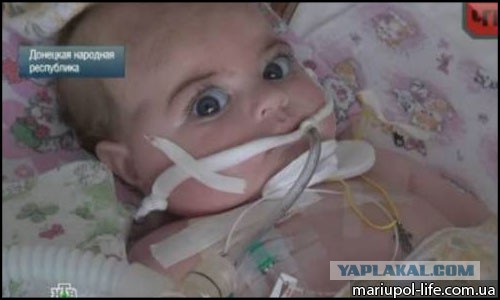 Фото с Яценюком – единственное доказательство