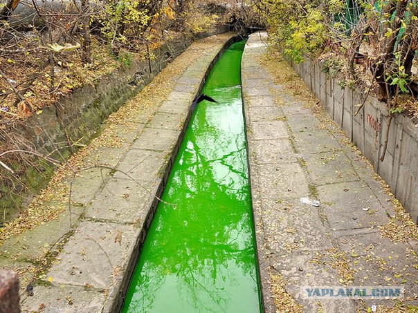 Кому юки отсыпать?