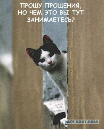 Веселые картинки